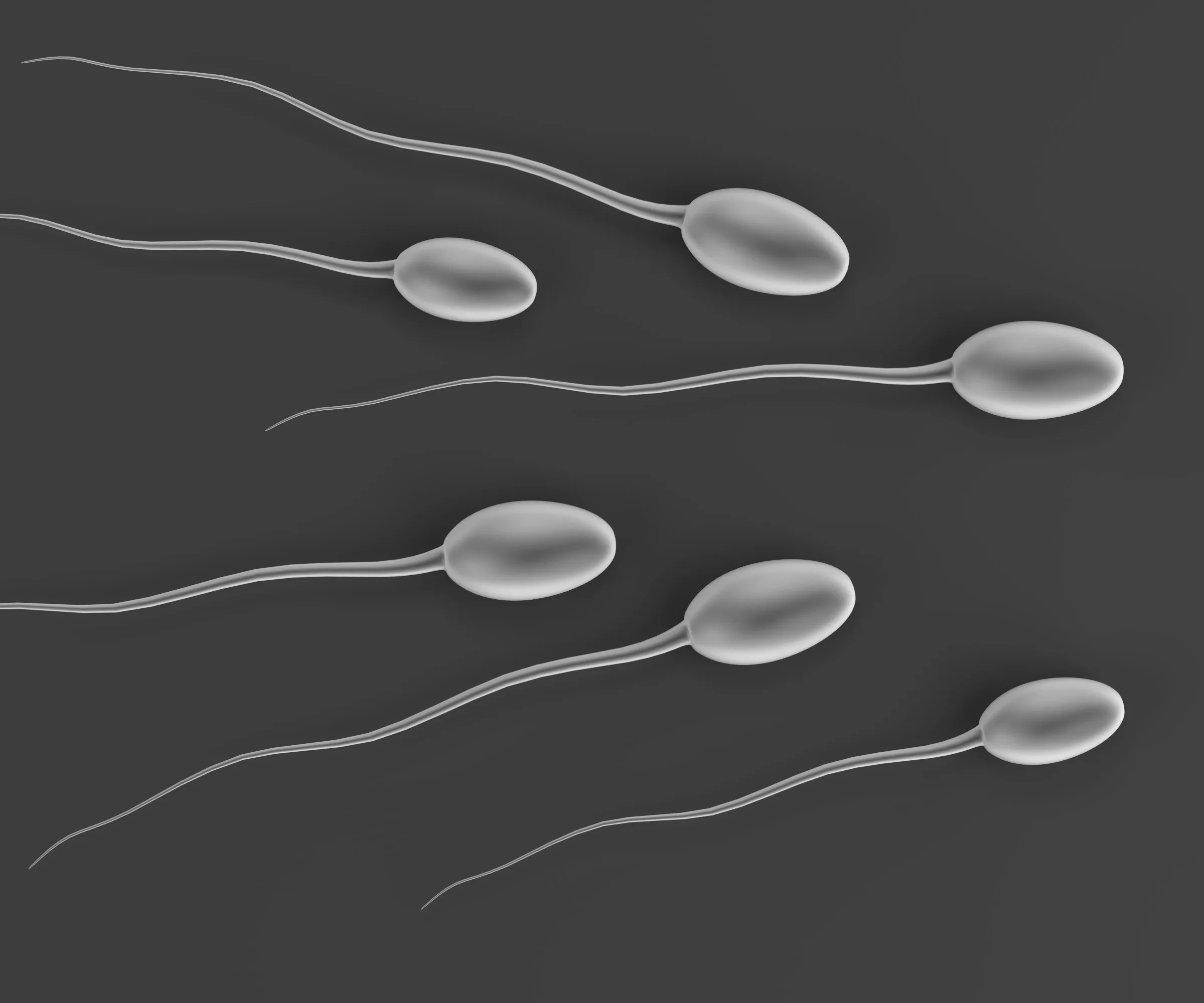 alt="3D rendering of several sperm cells swimming forward."