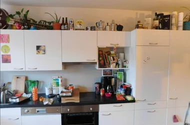 Kitchen with white cabinets, various items on the countertop, and plants on top. A cat is camouflaged in the scene.
