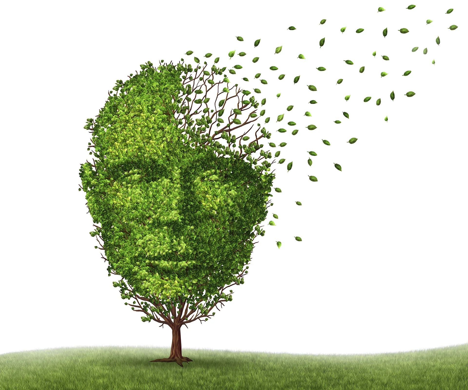 A tree with a face made of leaves, where leaves are blowing away, symbolizing memory loss.