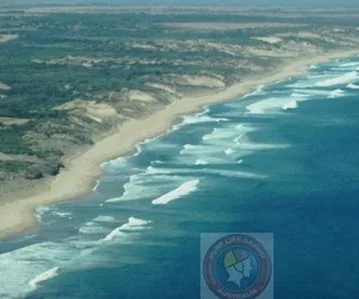 Aerial view of a vast beach with waves crashing onto the shore and greenery in the background.