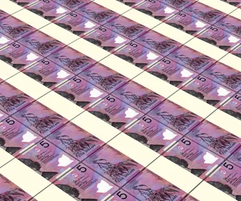 We’re getting a new $5 note