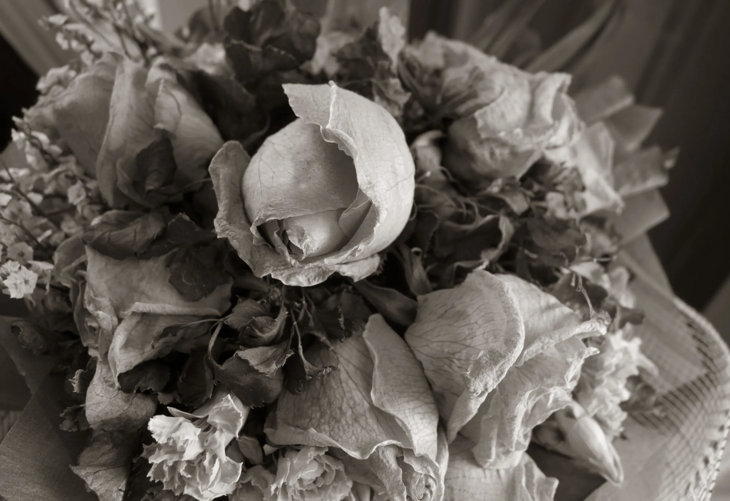 A black and white image of a bouquet of wilting roses and flowers.