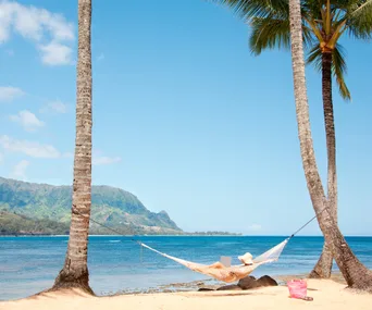 Person relaxing in a hammock between palm trees on a tropical beach, using a laptop, with mountains and ocean in the background.