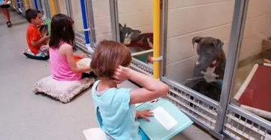 Children reading to shelter dogs from outside their kennels to help calm the animals.