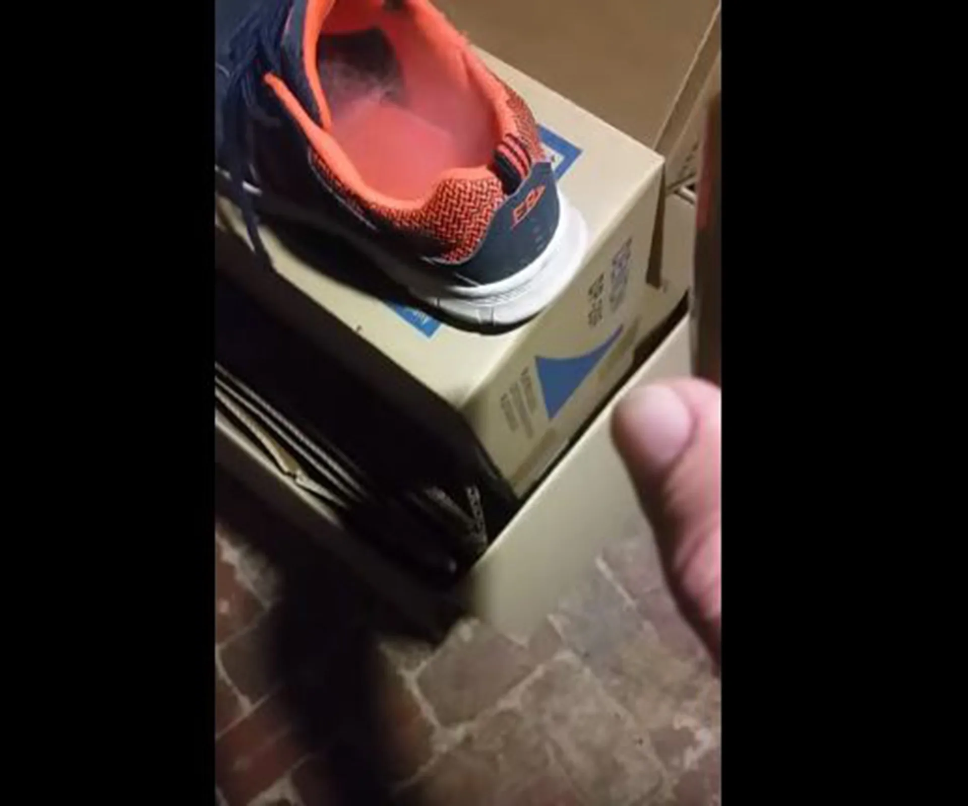 Shoe with orange interior on a box, containing a large spider, with a hand pointing at it.