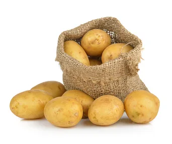 A burlap sack of yellow potatoes with some spilling out onto a white background.