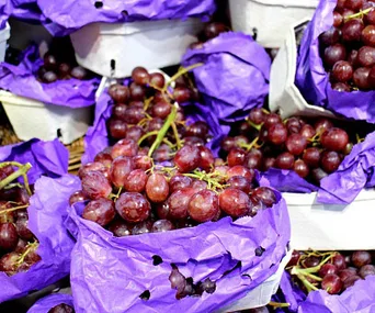 Bunches of red grapes wrapped in purple paper are displayed in white trays at a market.