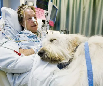 Patient in hospital bed with oxygen tube, smiling as fluffy dog rests comfortably on their lap.