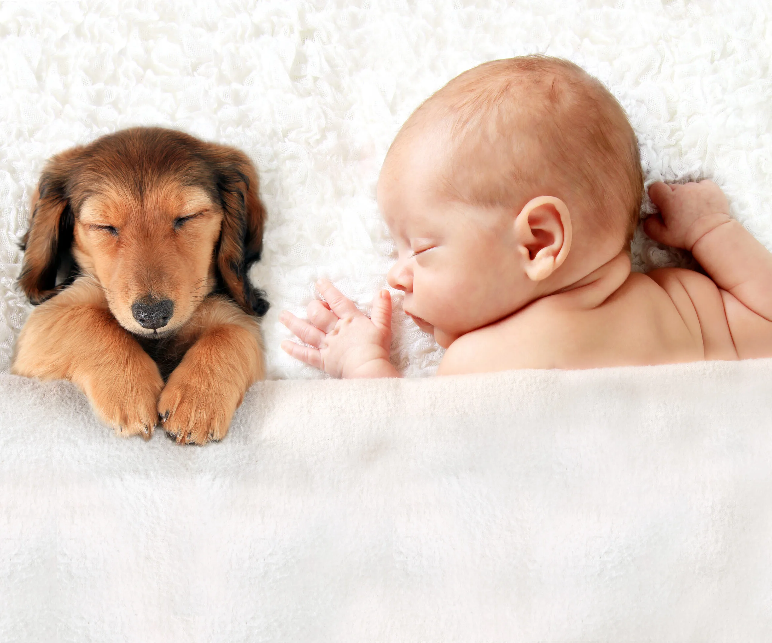 puppy with baby