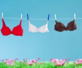 Three bras, red, white, and brown, hang on a clothesline against a blue sky with grass and flowers beneath.