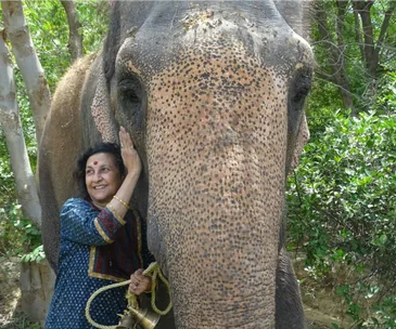 Circus elephant enjoys freedom after 50 years in captivity