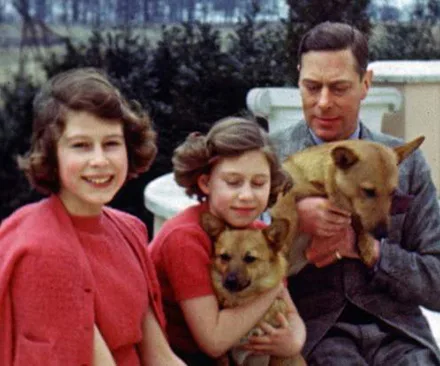 A young girl smiling with her sister, father, and two dogs, sitting outdoors with trees in the background.