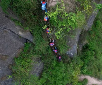 Children climb a steep, vine-covered cliff using a wooden ladder, surrounded by lush greenery.