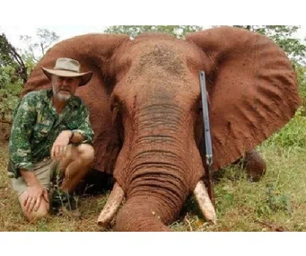 A man in a hat kneels beside a large elephant lying on the ground, with a rifle resting on the elephant's tusk.