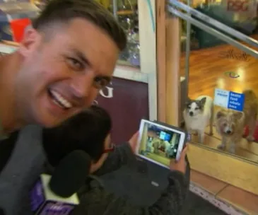 Beau Ryans racist footy show comments 