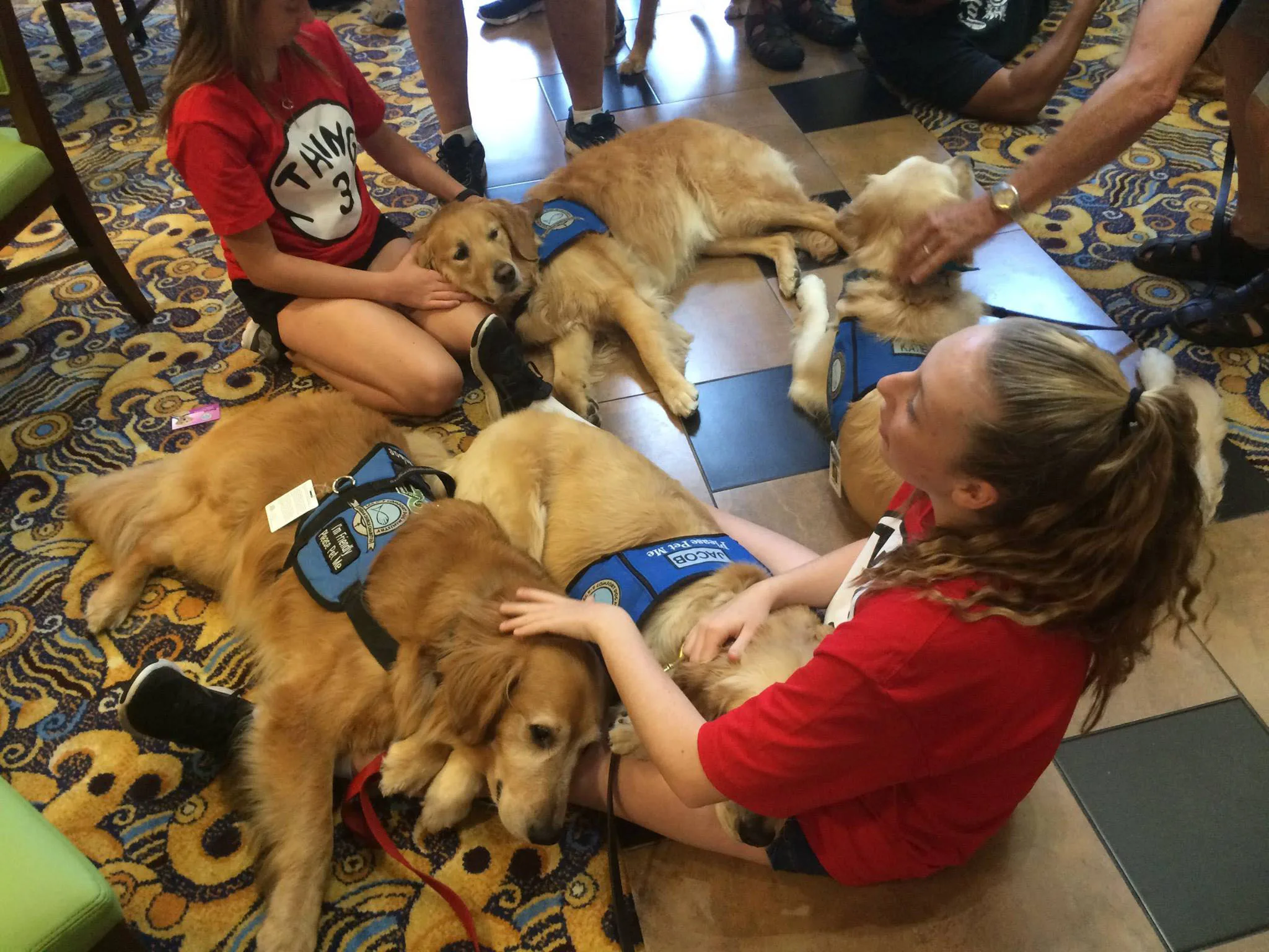 Meet the dogs bringing comfort to the devastated Orlando community