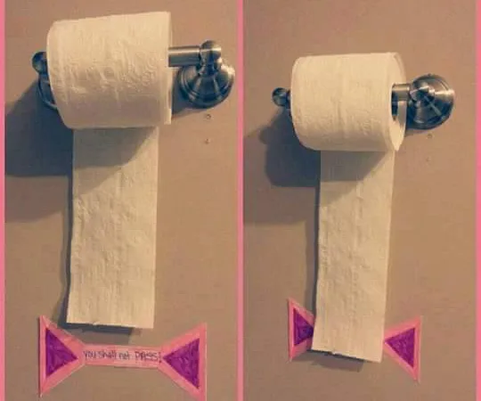 Two toilet paper rolls on holders; left one over-rolled with "You shall not pass" sign, right one under-rolled.