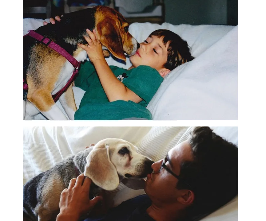 Boy and beagle sharing a nose-to-nose moment, both young and later in life on a bed.