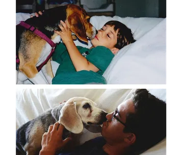 Boy and beagle sharing a nose-to-nose moment, both young and later in life on a bed.