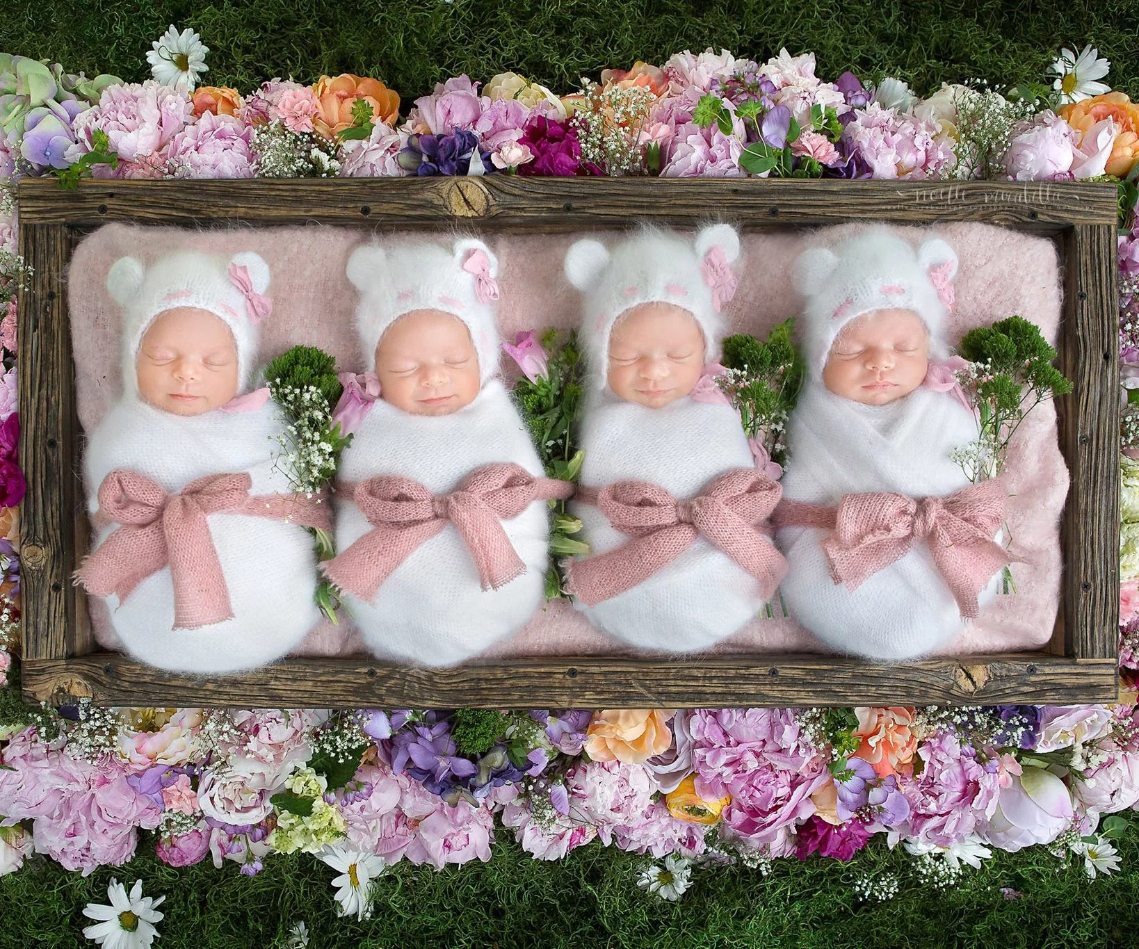 Four identical baby quadruplets in white wraps with pink bows, sleeping in a wooden frame surrounded by colorful flowers.