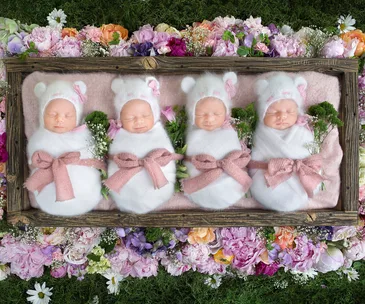 Identical quadruplets snooze through gorgeous shoot