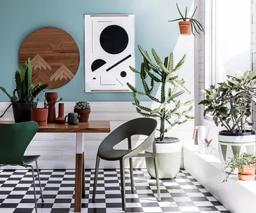 Indoor space with various potted plants, modern furniture, and abstract wall art.