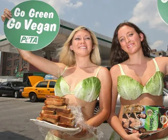 Vegans