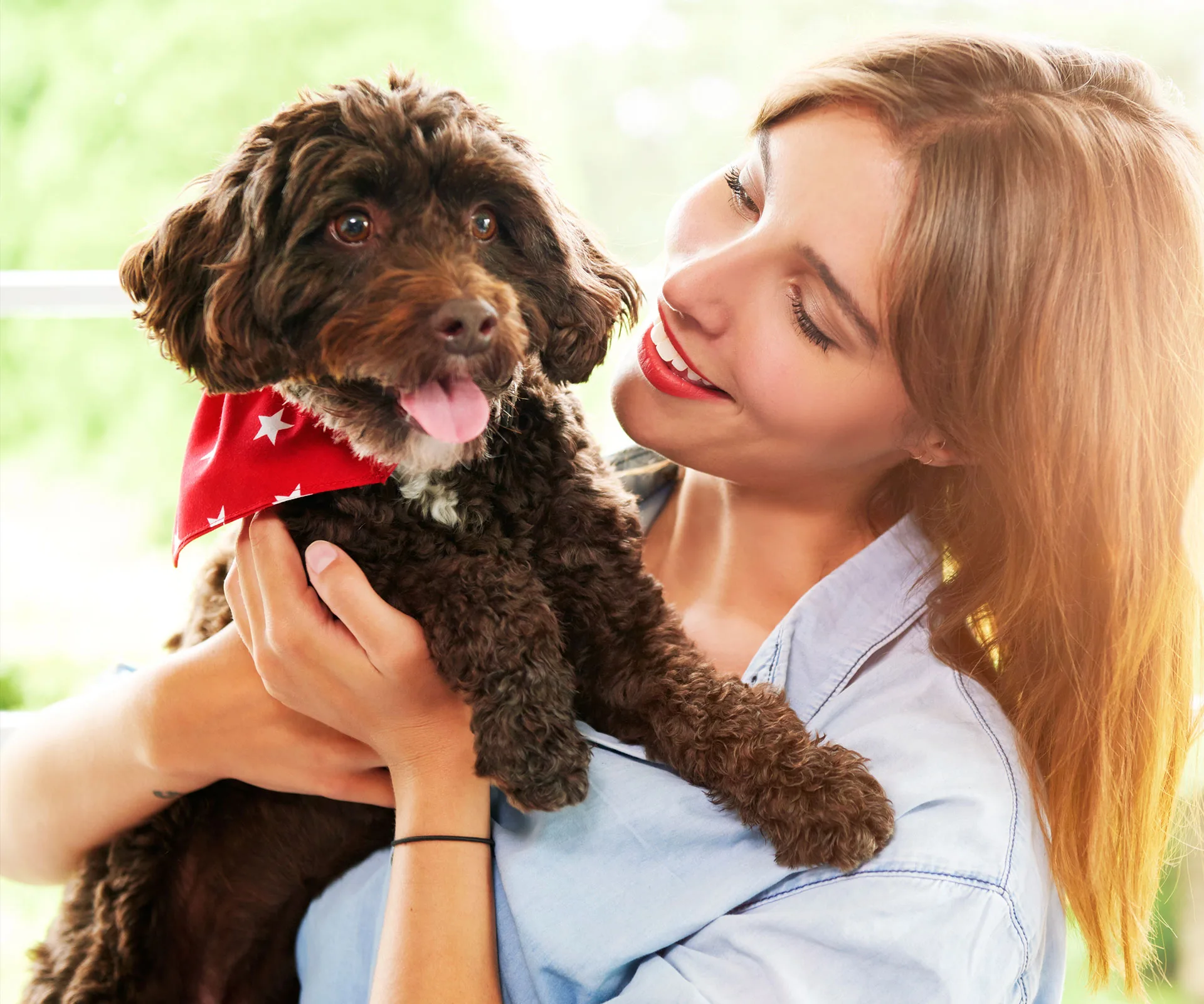 Dogs understand human speech