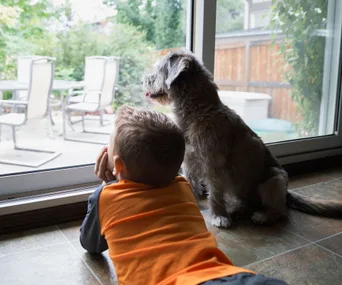 A child and a dog lie on the floor looking out a glass door at a patio with chairs.