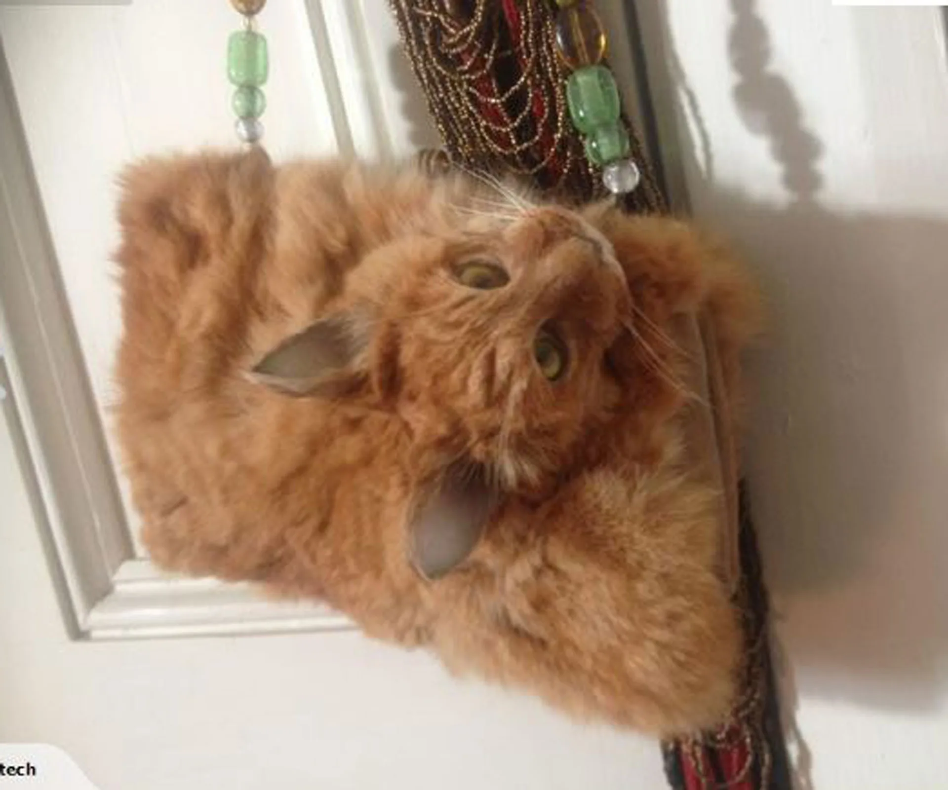 A handbag made from a preserved ginger cat with detailed fur and ears, hanging on a door with beaded straps.