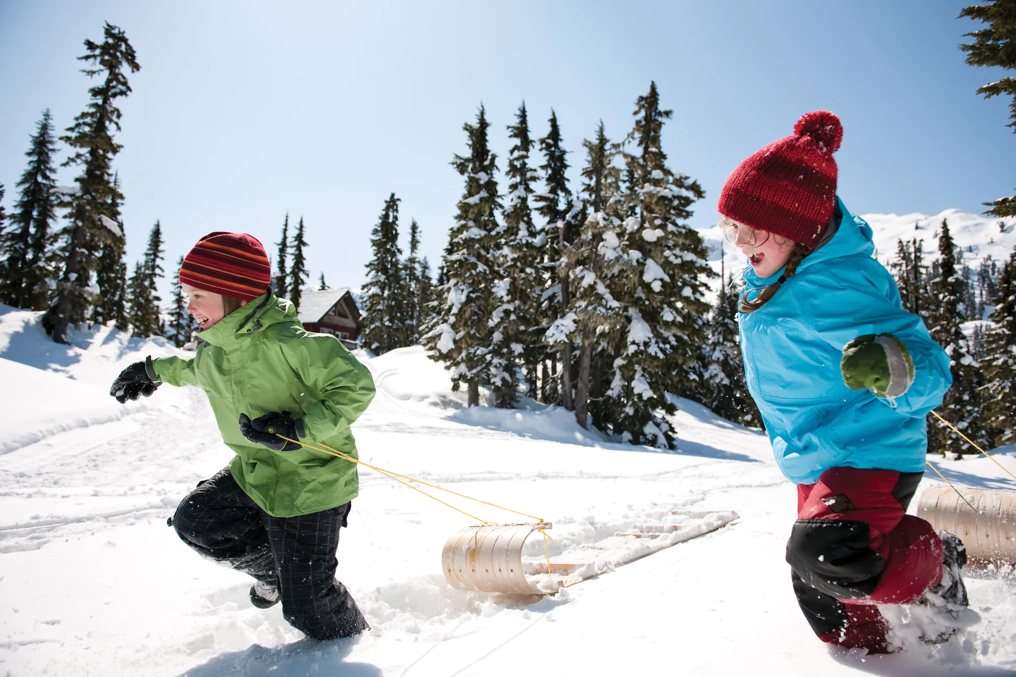 Children pulling sleds through a snowy landscape with evergreen trees.
