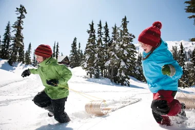 Children pulling sleds through a snowy landscape with evergreen trees.
