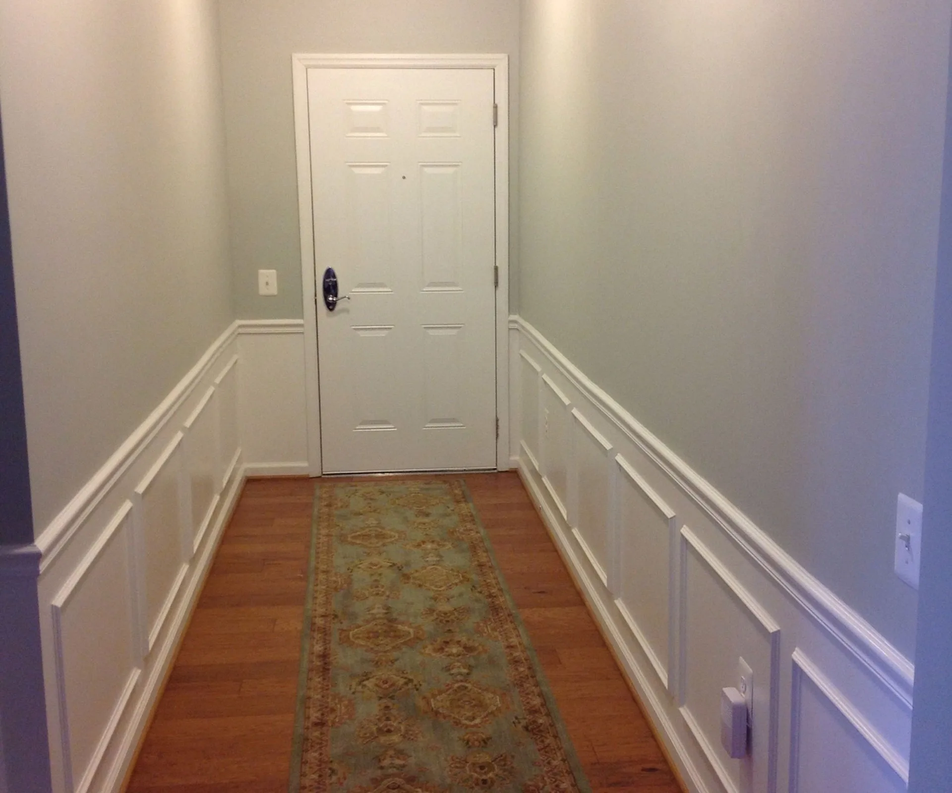 A plain hallway with light-colored walls, wood floor, a decorative runner rug, and a white door at the end.