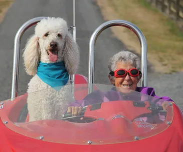 A smiling elderly woman wearing red goggles drives a red vehicle with a fluffy white dog beside her wearing a blue bandana.