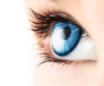 Close-up of a human eye with bright blue iris and long eyelashes.