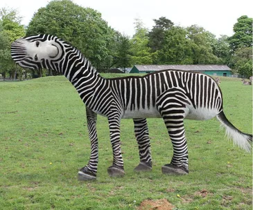 "Quirky zebra with a long neck, odd head, and smiling face, in a grassy field, inspired by child's drawing."