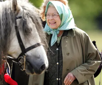 A woman wearing a headscarf smiles beside a horse with a bridle and a ribbon, in an outdoor setting.