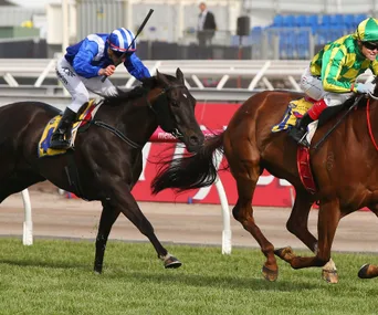 Jockeys in colorful silks racing horses on a grass track at the Melbourne Cup.