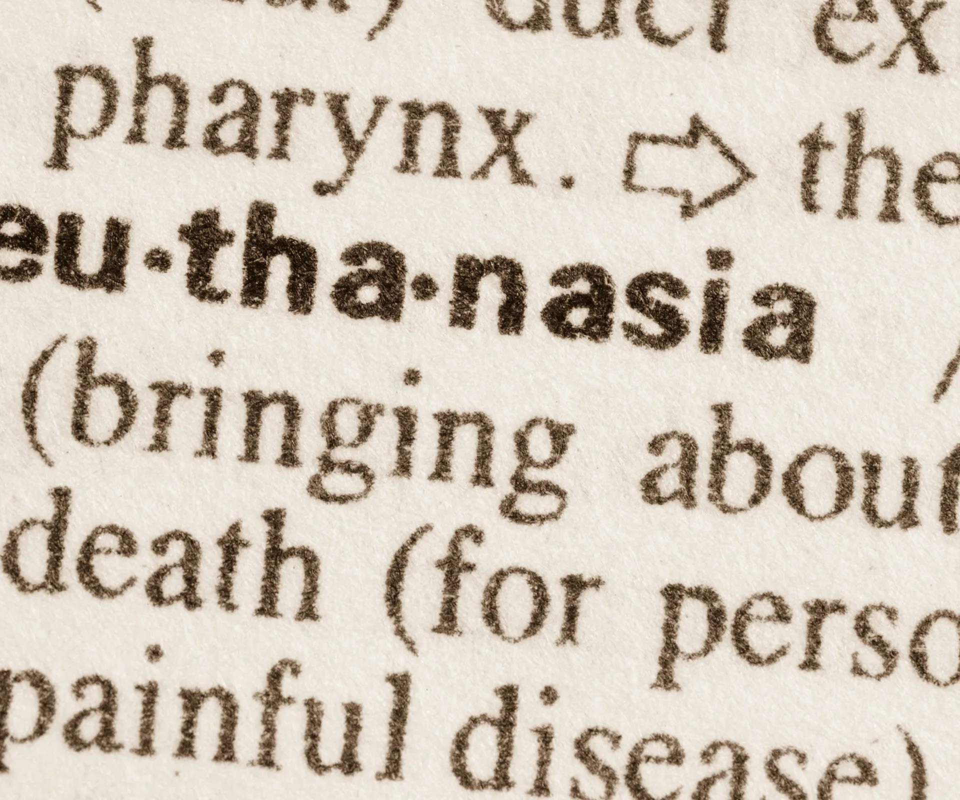 "Close-up of dictionary page showing the word 'euthanasia' in bold text with partial definition visible."