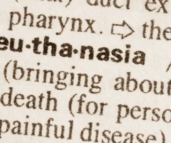 "Close-up of dictionary page showing the word 'euthanasia' in bold text with partial definition visible."