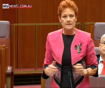 A person speaking in a legislative setting, wearing a pink blazer, with a Sky News logo in the corner.