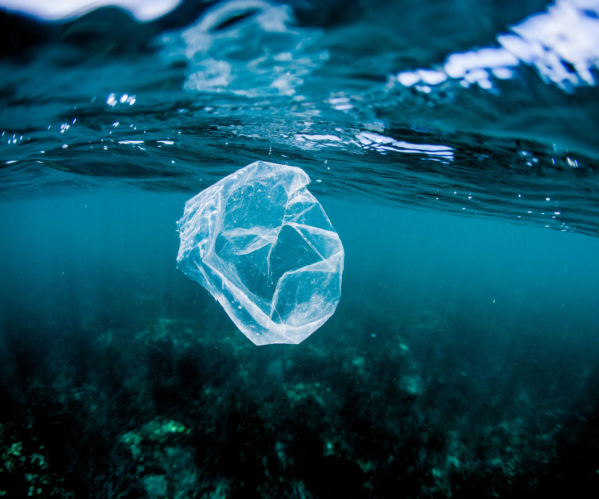 Plastic bag floating underwater in the ocean, depicting environmental pollution.