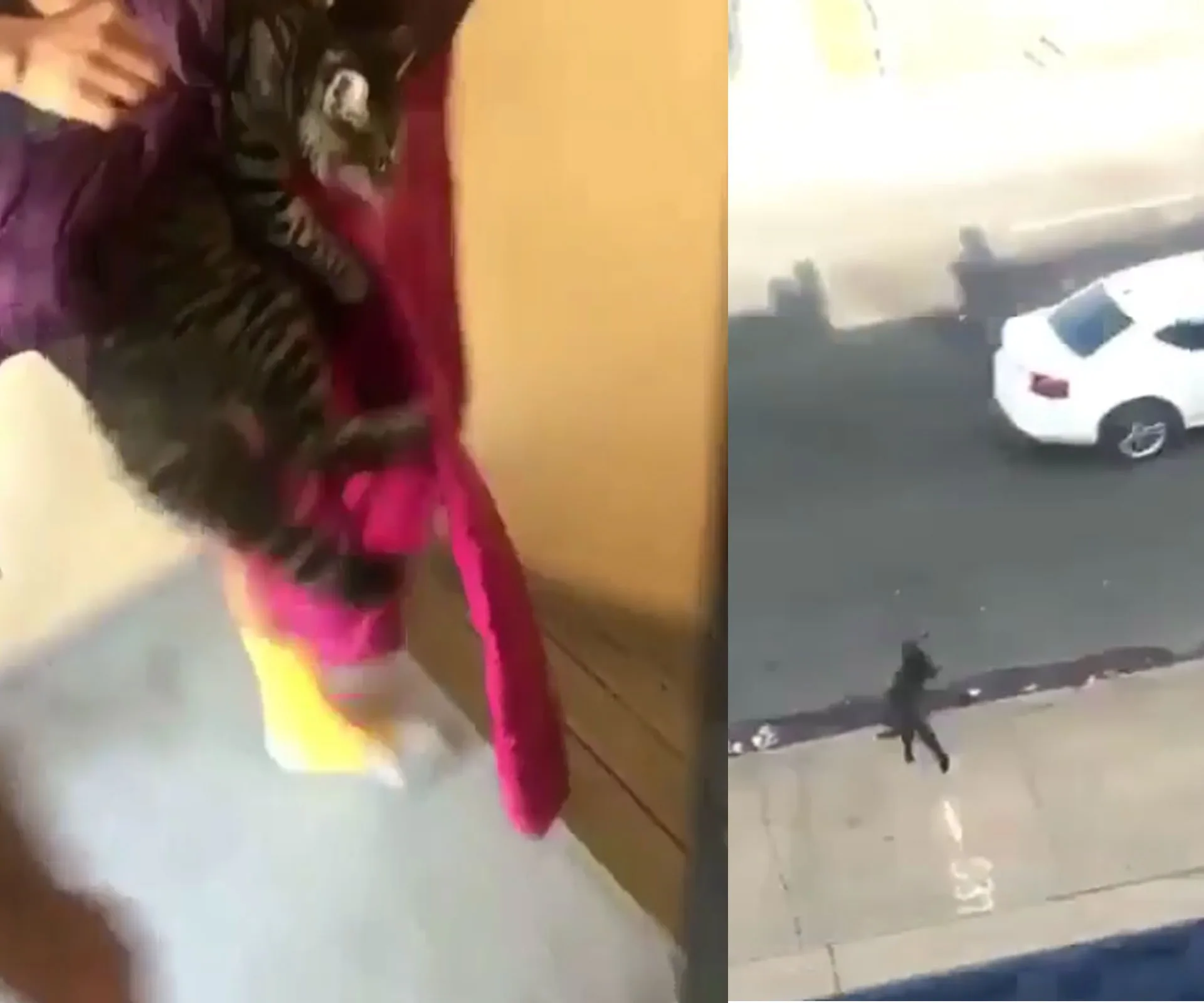A cat being held over a balcony on the left; the cat falling towards the ground on the right.
