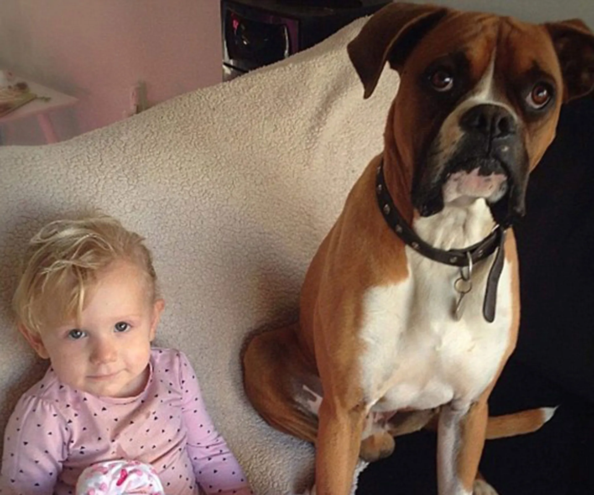Young child smiling beside a sitting brown and white dog on a couch.