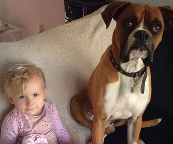 Young child smiling beside a sitting brown and white dog on a couch.