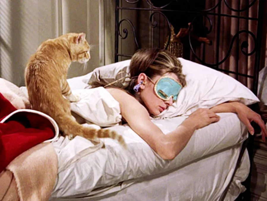 Things every cat owner does but doesn’t admit