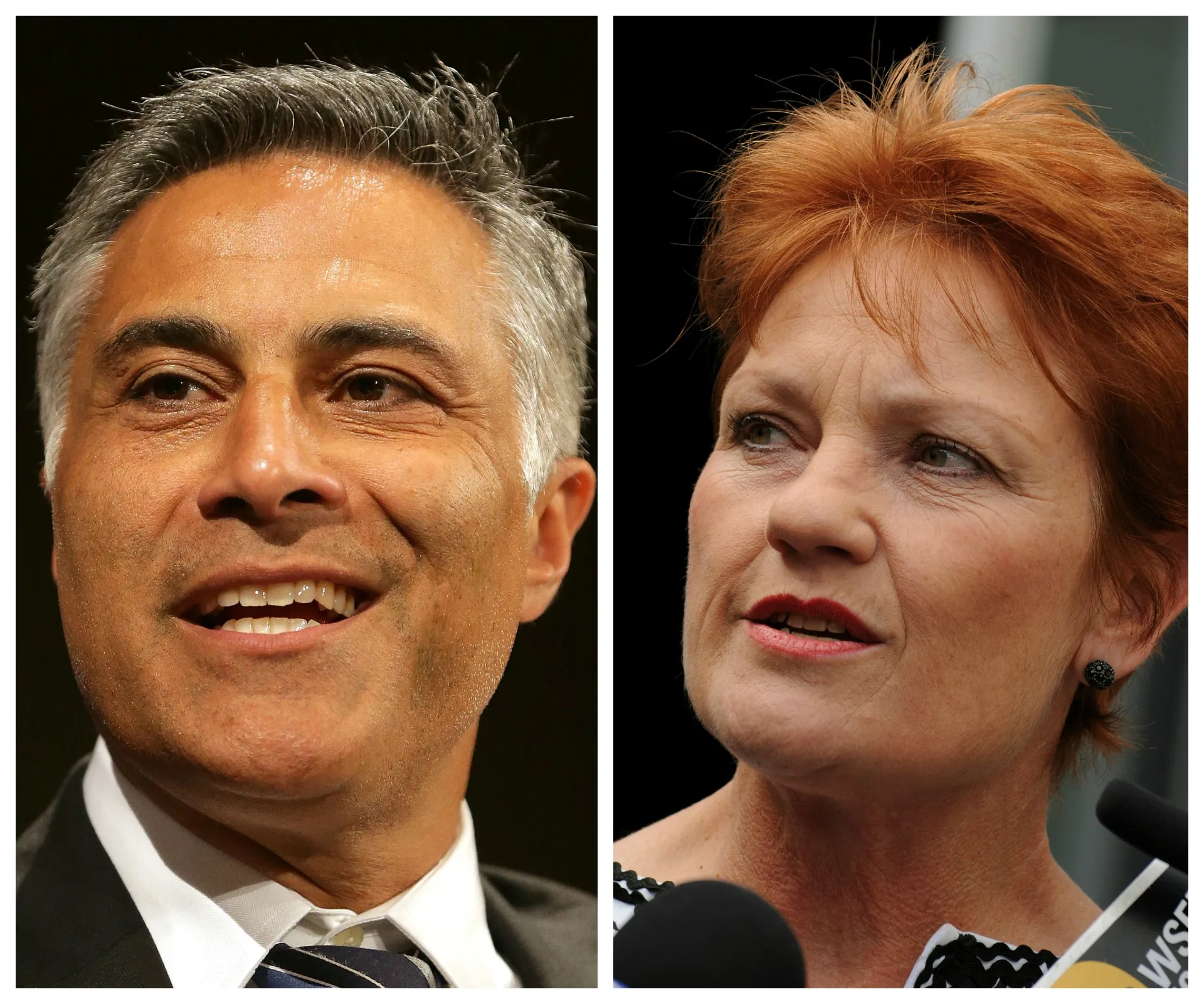 Ahmed Fahour, Pauline Hanson