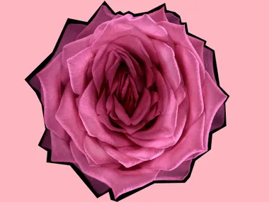 flower vagina