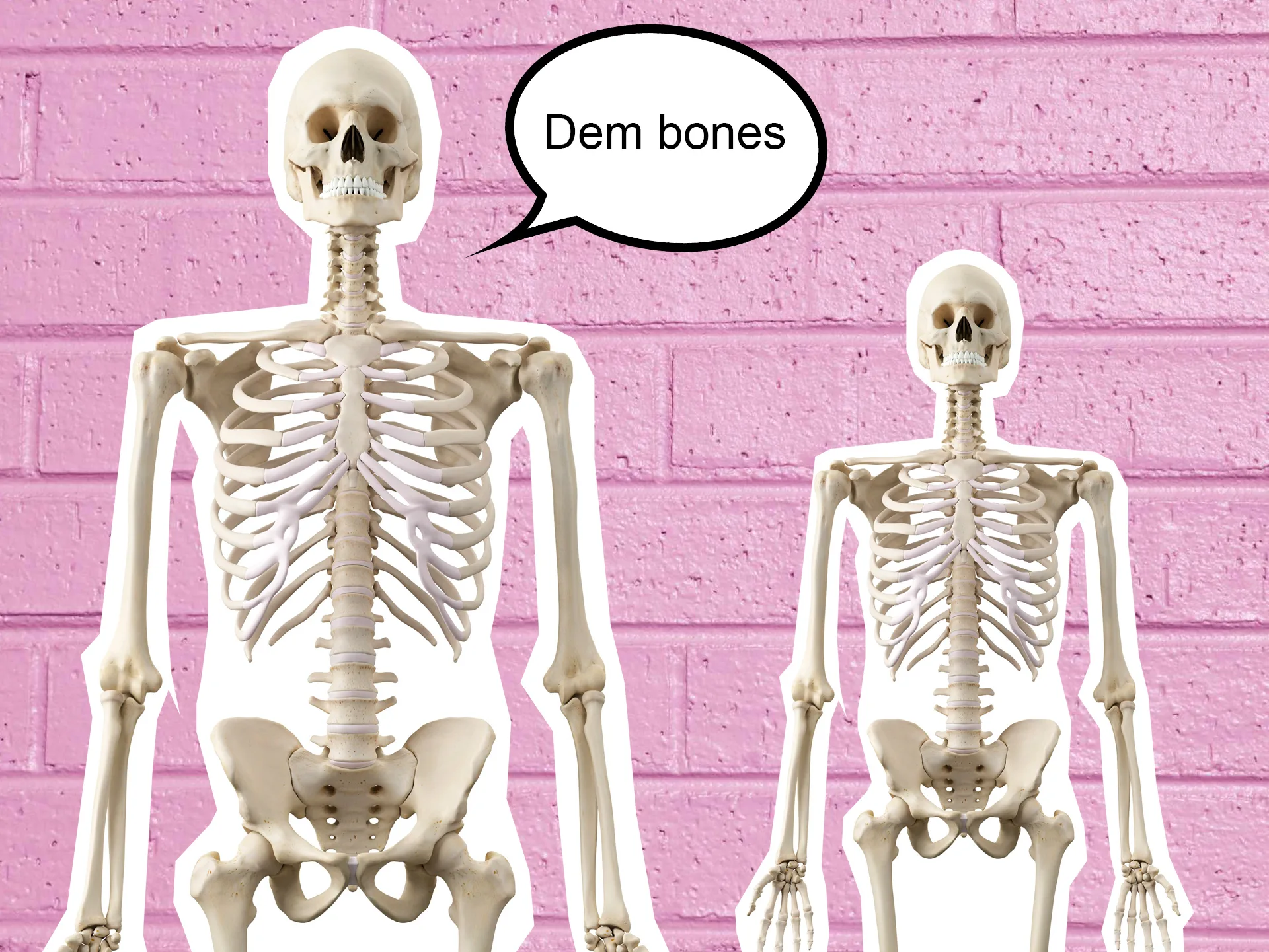 Skeletons