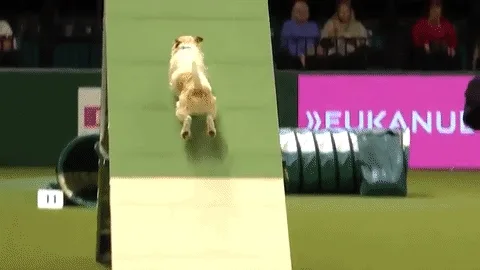 Olly Crufts